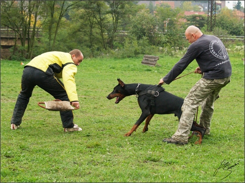 Training in Prague 10/2007